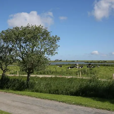 Waldhusen-warft